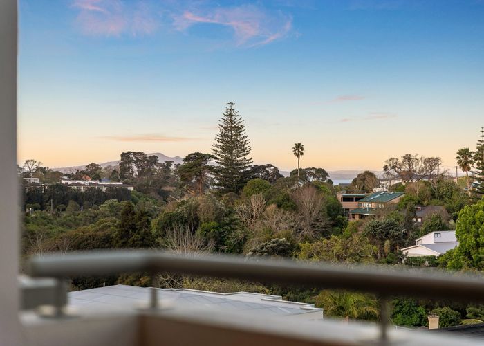  at 17 John Stokes Terrace, Remuera, Auckland City, Auckland