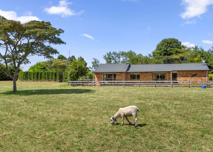  at 11A Higginson Road, Hamilton