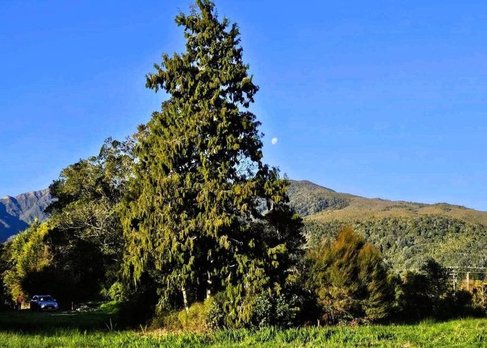  at 1A Sunderland Street, Waimangaroa, Buller, West Coast