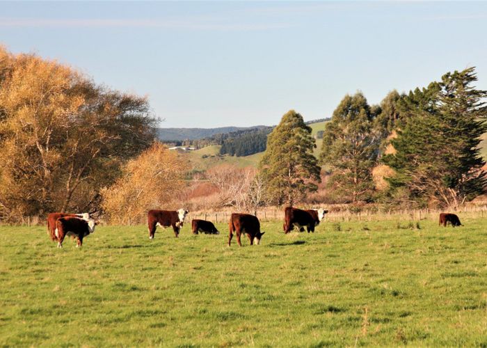 For sale 304 Lillburn Valley Road, Tuatapere, Southland, Southland