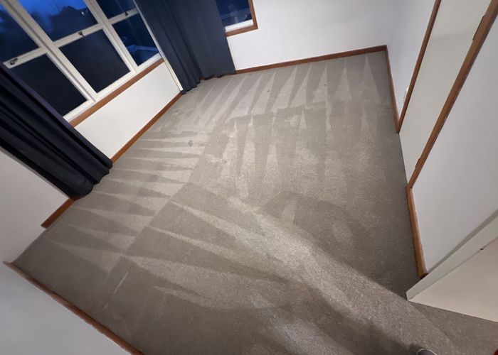  at 16 Springleigh Avenue, Mount Albert, Auckland City, Auckland
