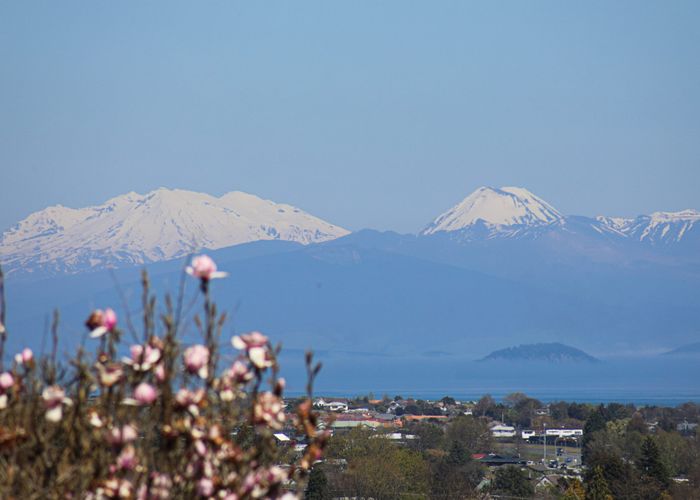 at 79 Harvey Street, Waipahihi, Taupo