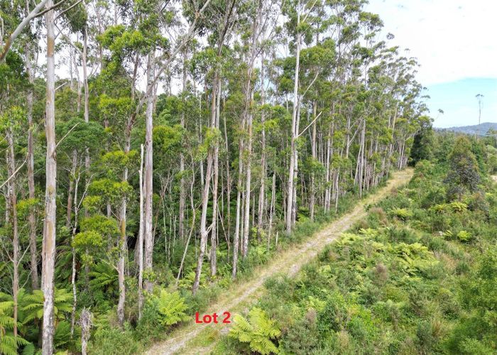  at 0 Clifton Road, Kaiata, Greymouth