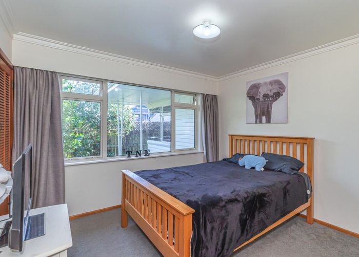  at 19 Parsons Avenue, Levin, Levin