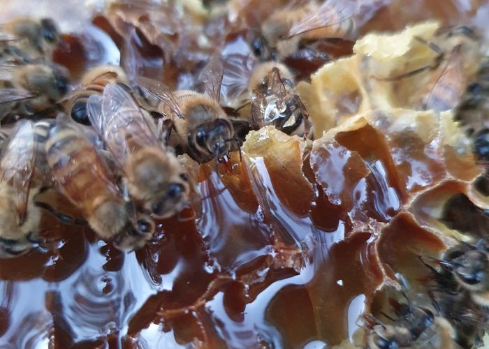  at 58 Moroa Road, Martinborough, South Wairarapa, Wellington