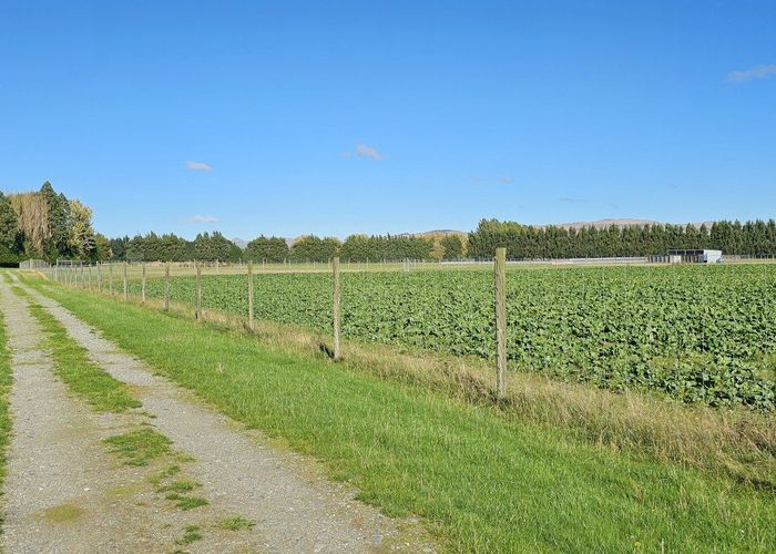  at 61 Nine Mile Road, Riversdale, Southland, Southland