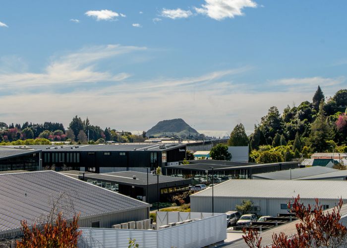  at 1 Clarke Street, Gate Pa, Tauranga, Bay Of Plenty