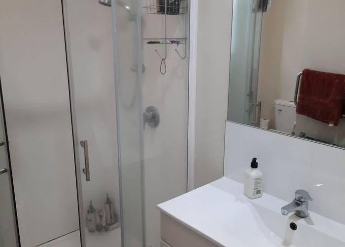  at 26 Wilson Street, Newtown, Wellington, Wellington