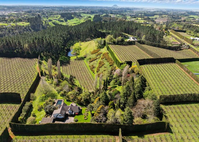  at 354  Joyce Road, Pyes Pa, Tauranga, Bay Of Plenty