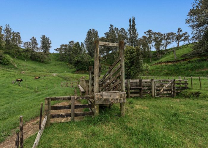  at 26 Settlement Road, Pikowai, Whakatane, Bay Of Plenty