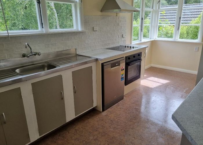  at 25 Lowe Street, Pine Hill, Dunedin, Otago