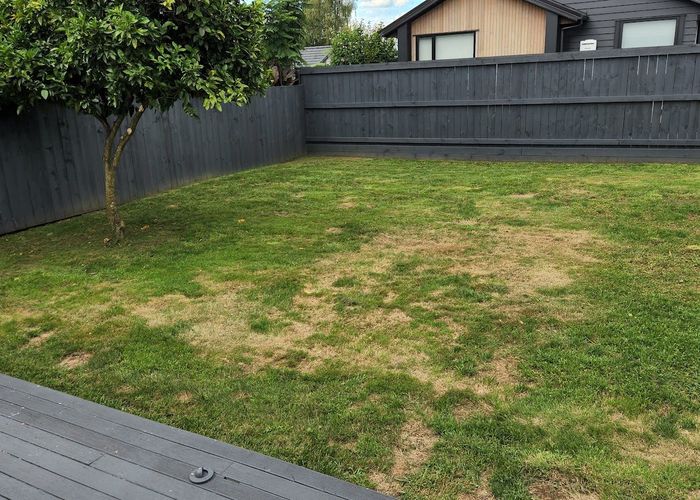  at 6 Heath Street, Saint Andrews, Hamilton, Waikato