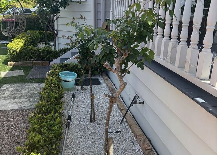  at 13B Grove Road, Sandringham, Auckland City, Auckland