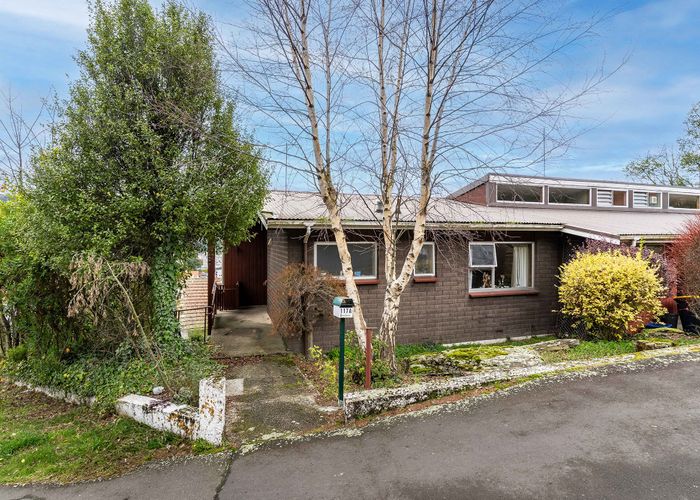  at 117A Queen Street, North Dunedin, Dunedin, Otago