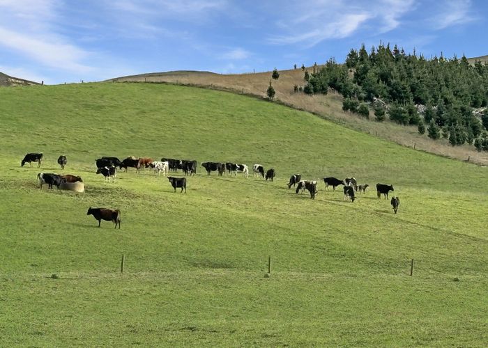  at Finlays Road, Windsor, Waitaki, Otago