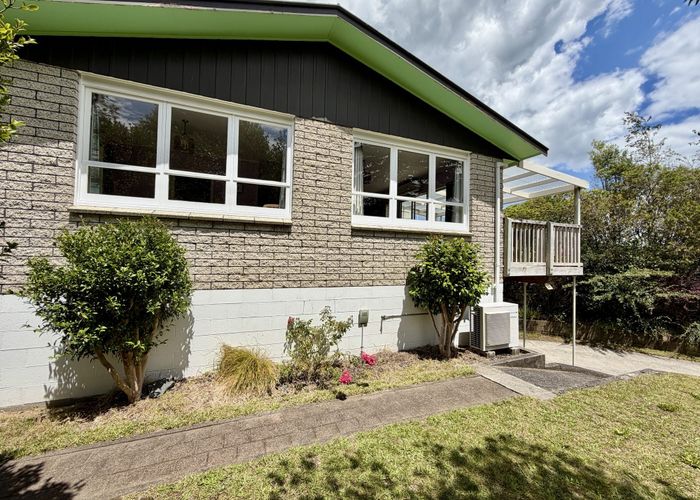  at 217 West Parkdale Street, Tokoroa, South Waikato, Waikato