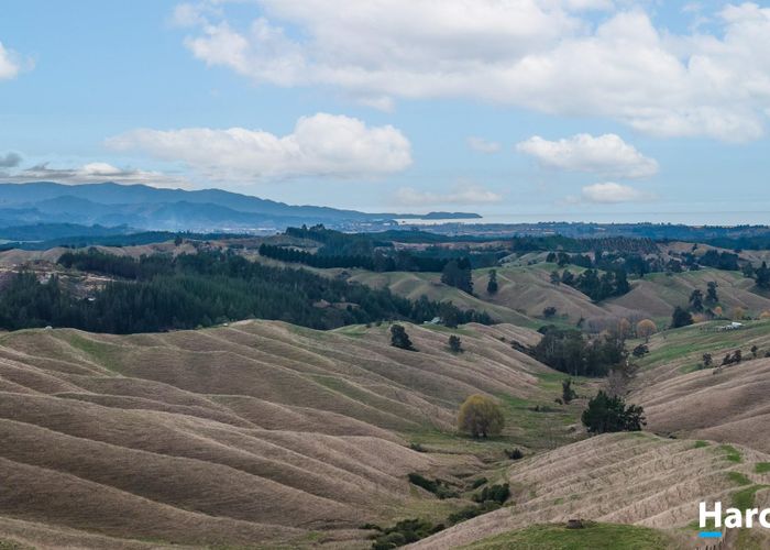 For sale 0 Neudorf Road, Dovedale, Tasman, Nelson / Tasman homes.co.nz