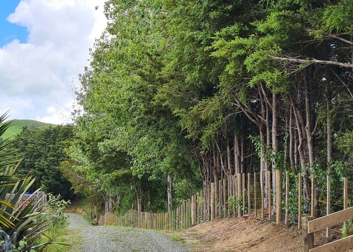  at 83 Payne Road, Topuni