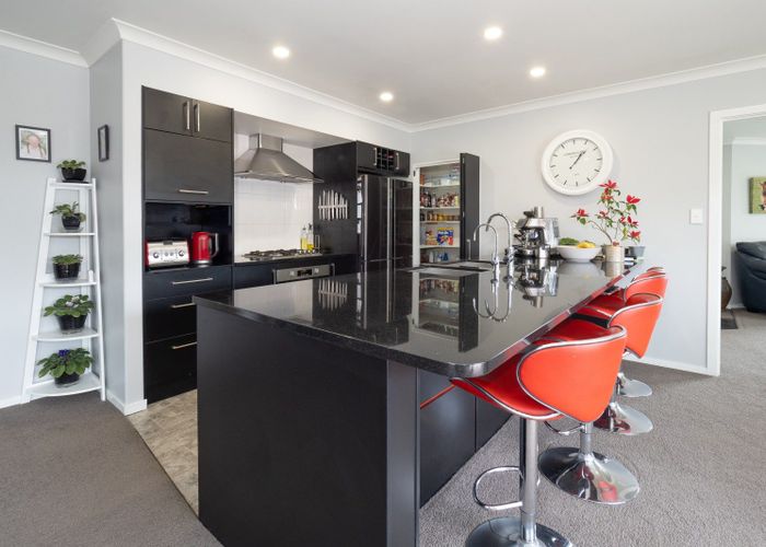  at 16 Geoff Geering Drive, Netherby, Ashburton