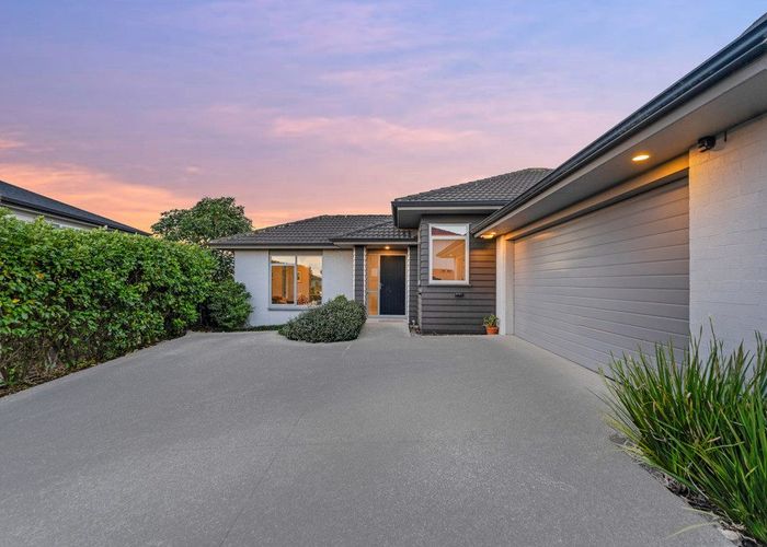  at 19 Savina Court, Flat Bush, Manukau City, Auckland