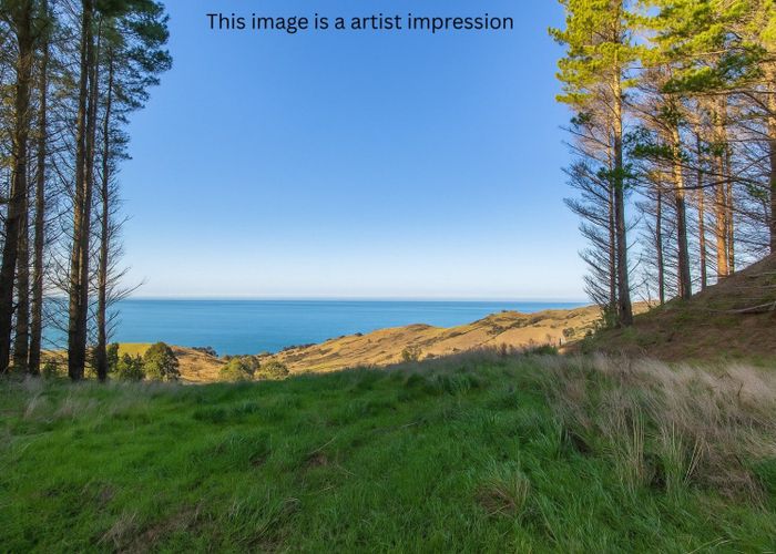  at 1165C Cooks Tooth Road, Porangahau, Central Hawke's Bay, Hawke's Bay
