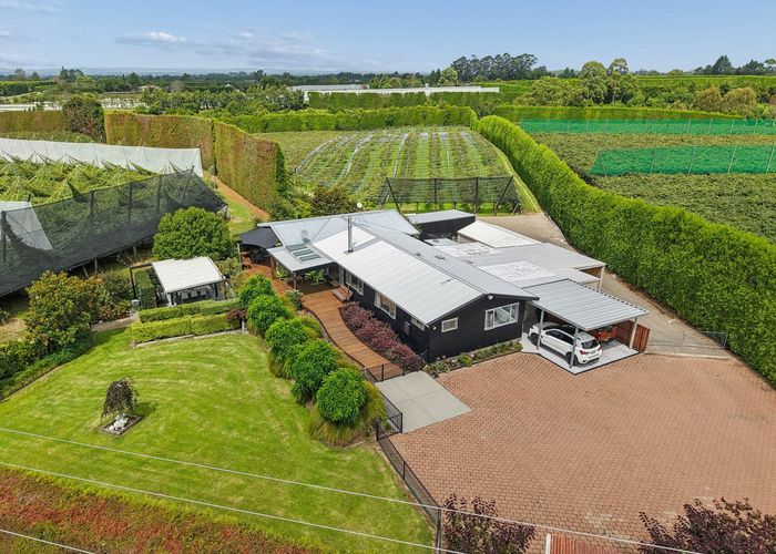  at 447 No2 Road, Te Puke, Western Bay Of Plenty, Bay Of Plenty