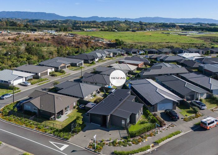  at 35 Sentinel Ave, Omokoroa, Western Bay Of Plenty, Bay Of Plenty