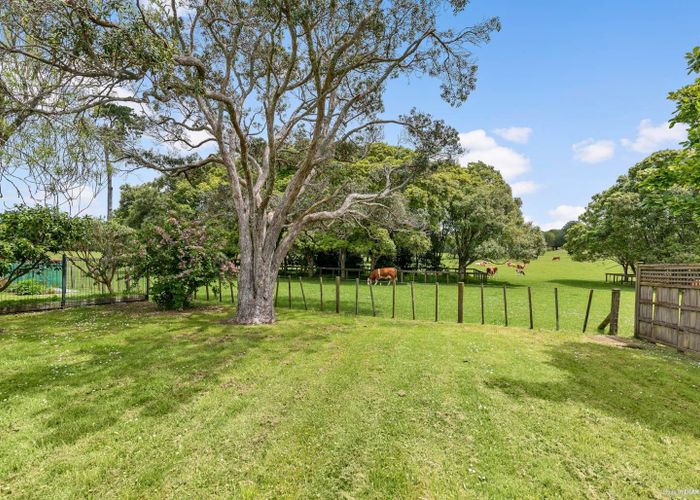  at 49 Maungakiekie Avenue, Greenlane, Auckland