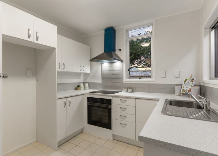  at 11 Puriri Avenue, Greenlane, Auckland