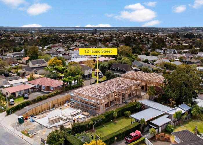  at 12 Taupo Street, Green Bay, Waitakere City, Auckland