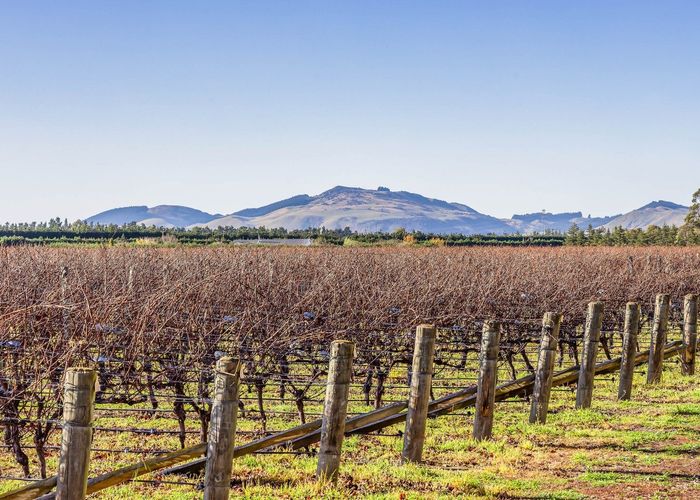  at 292 Mount Brown Road, Waipara, Hurunui, Canterbury