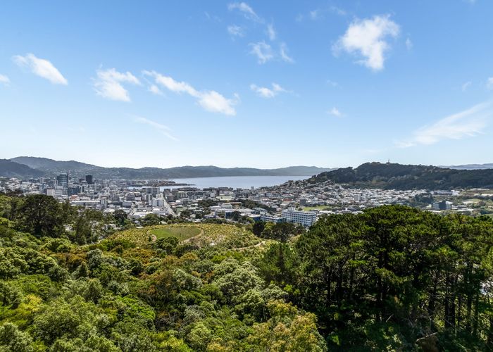  at 17 Asquith Terrace, Brooklyn, Wellington, Wellington