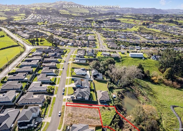 For sale 16 Thomason Crescent, Pokeno, Franklin, Auckland homes.co.nz