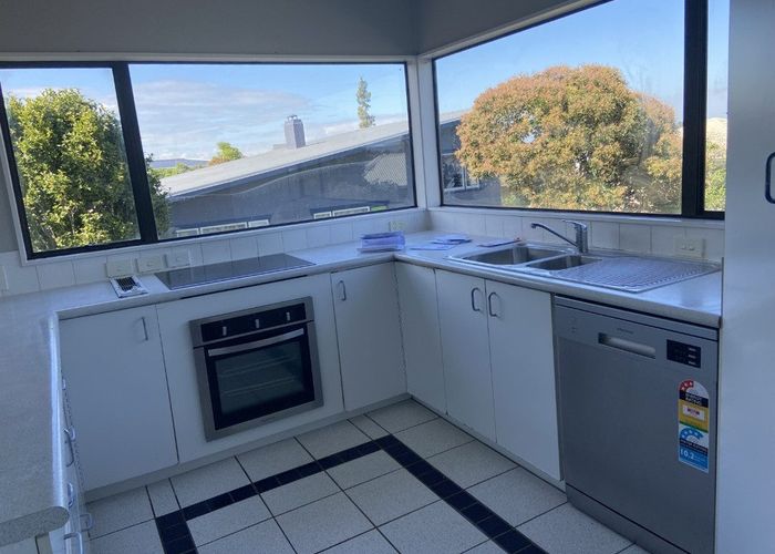  at 49C Carey Street, Maeroa, Hamilton