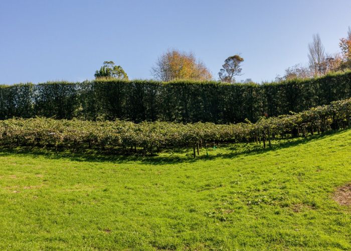  at 394 Old Highway, Whakamarama, Whakamārama