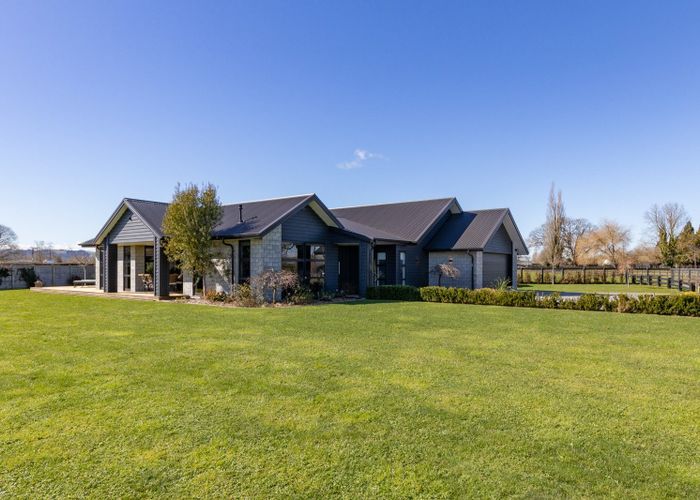  at 41 Catalyst Avenue, Cambridge, Waipa, Waikato