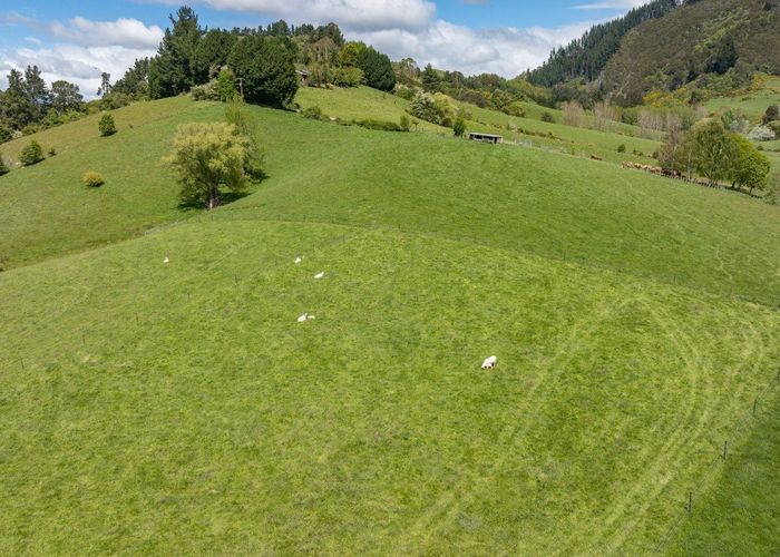  at 98 Thorpe-Orinoco Road, Ngatimoti, Tasman, Nelson / Tasman