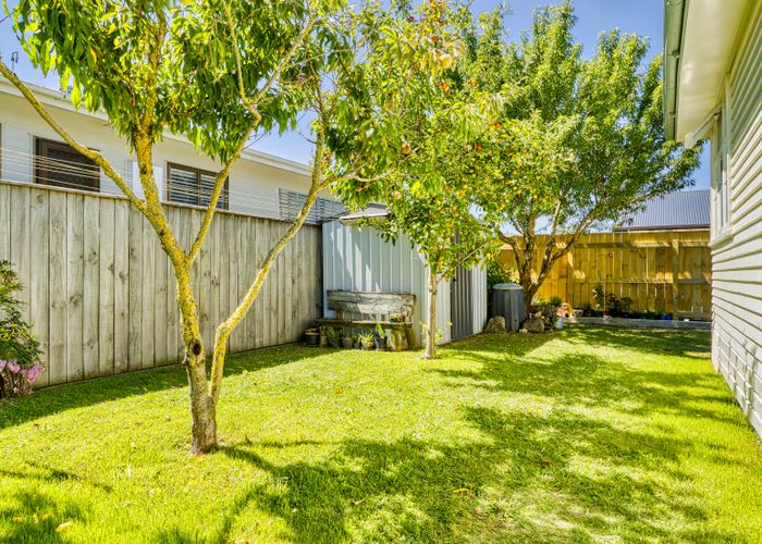  at 735 Ngaio Street, Mahora, Hastings