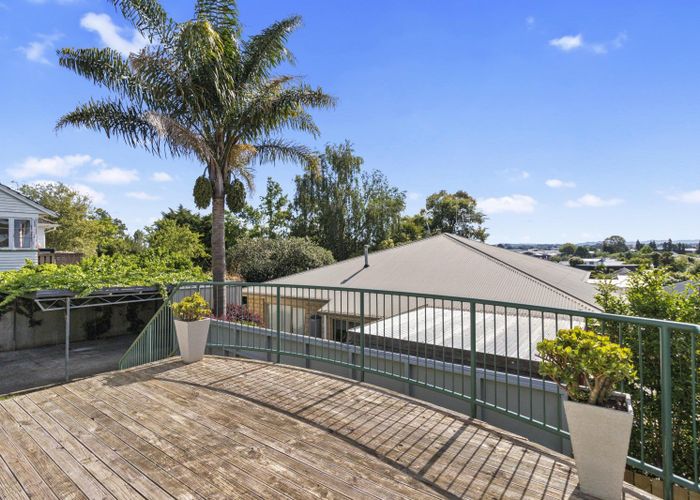  at 20 Alison Street, Hamilton Lake, Hamilton