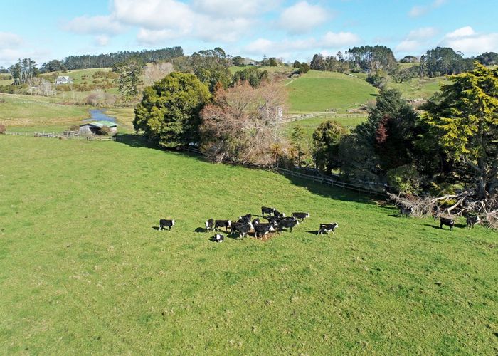  at 1723 Ponga Road, Papakura