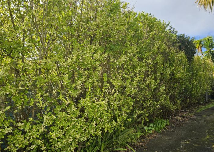  at 2/25 Moire Road, Massey, Waitakere City, Auckland