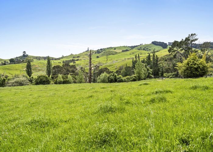 For sale 351 French Pass Road, Cambridge, Waipa, Waikato homes.co.nz