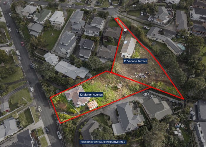  at 12 Morton Avenue and 11 Varlene Terrace, Forrest Hill, North Shore City, Auckland