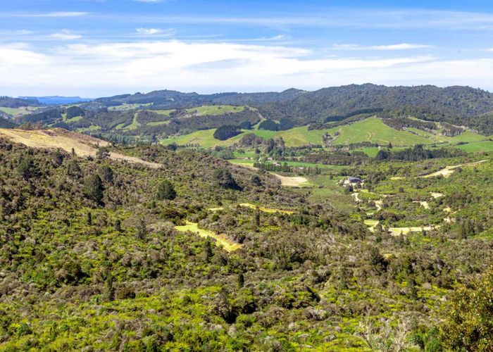  at 156E Silverstream Falls Row, Whenuakite