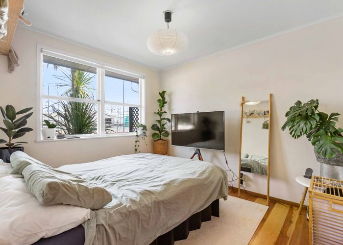  at Mount Albert, Auckland City, Auckland