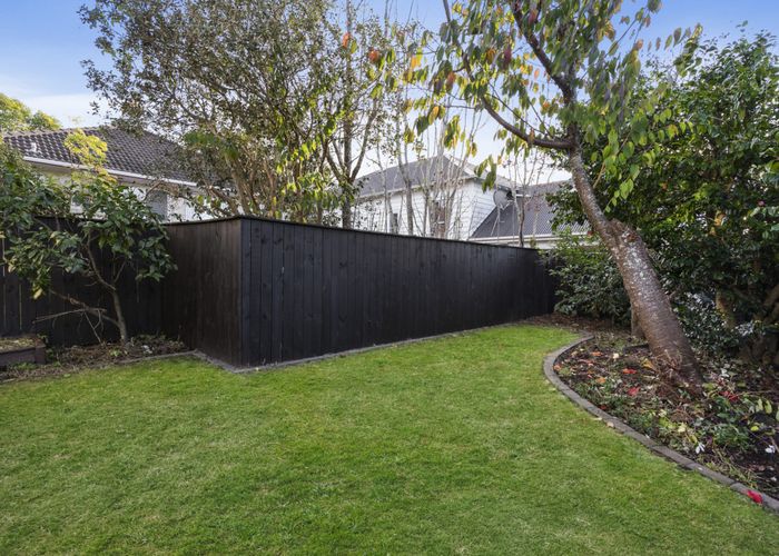 at 33 Puriri Avenue, Greenlane, Auckland