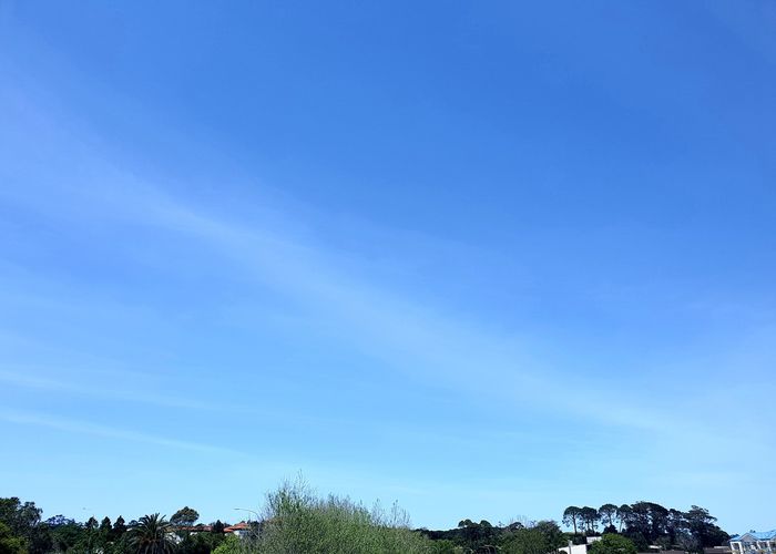  at 408/22 Library Lane, Albany, Auckland