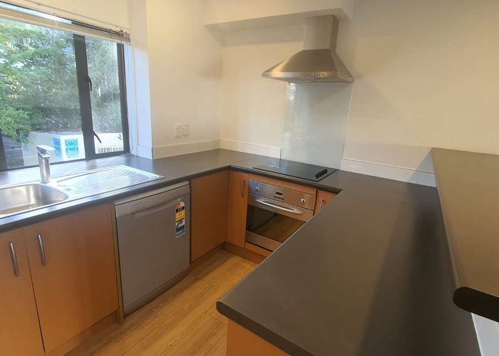  at 30 Sudbury Terrace, Parnell, Auckland City, Auckland