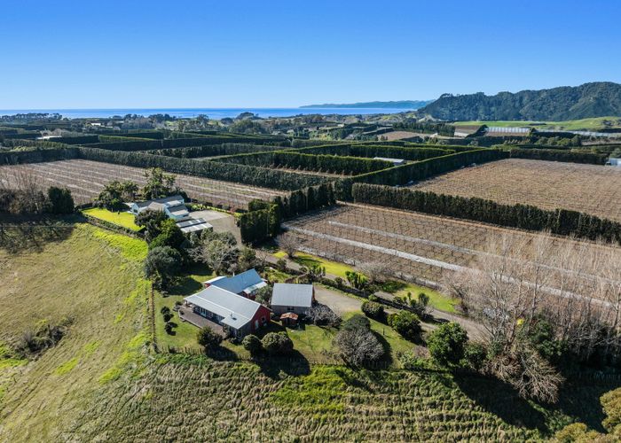  at 306 Tablelands Road, Tirohanga, Opotiki, Bay Of Plenty