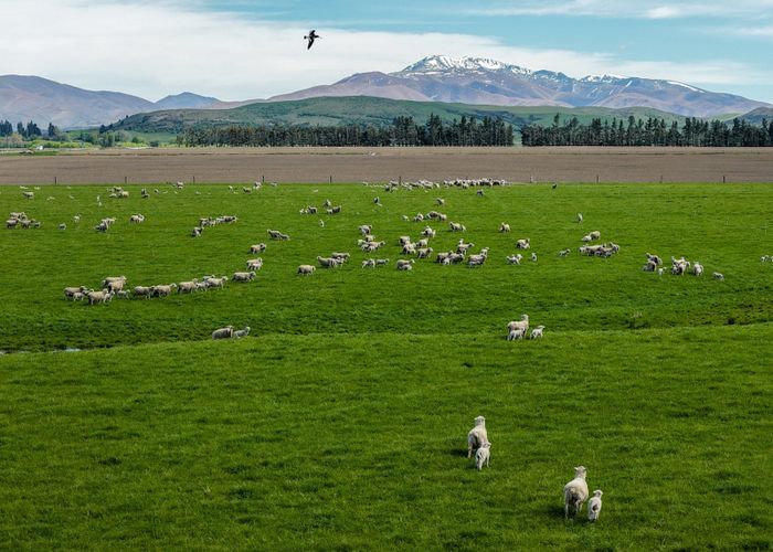  at 5582 Wedderburn-Becks Road and 755-971 Linnburn Runs Road, Oturehua, Central Otago, Otago